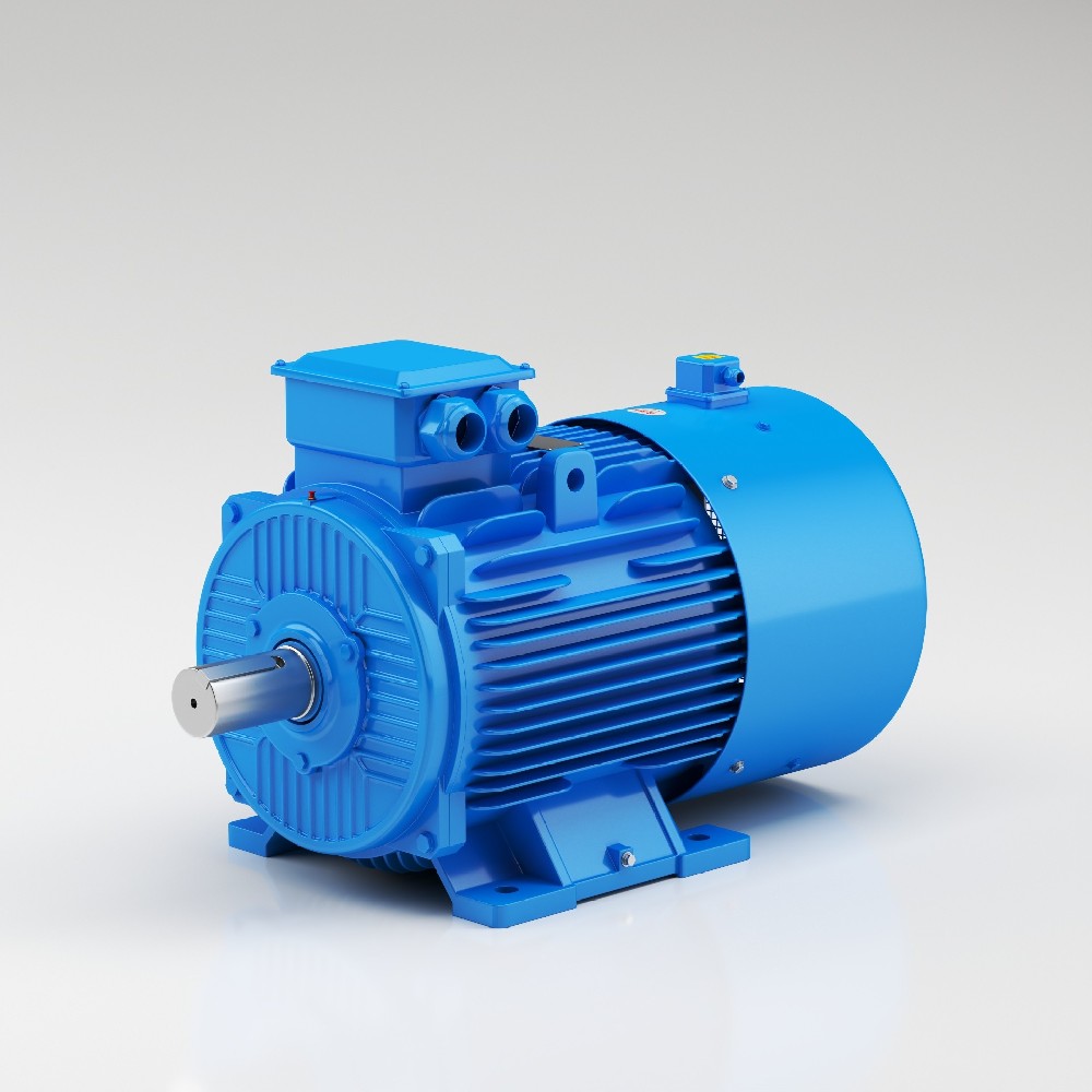 Variable frequency speed control motor